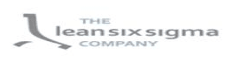 The Lean Six Sigma Company